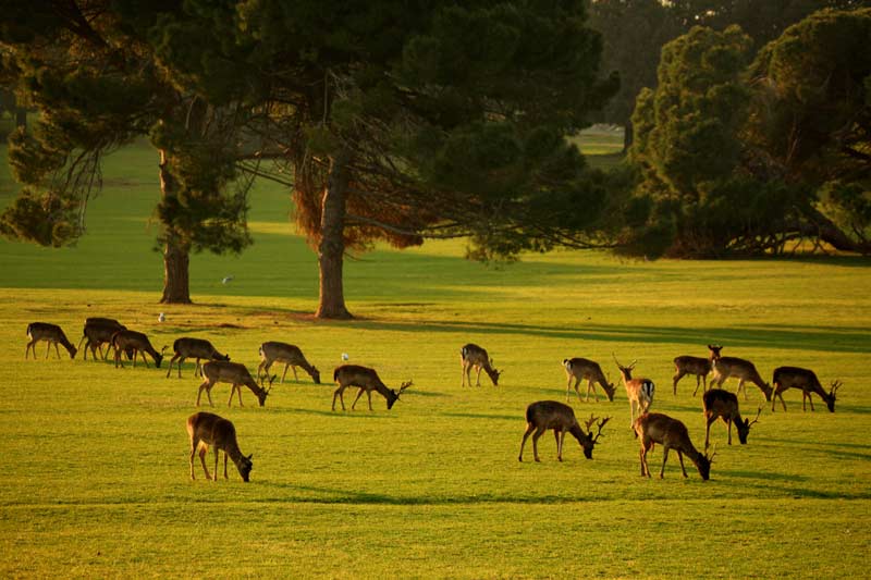 Brijuni, National Park