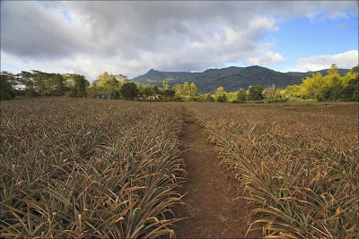 Mauritius - Paradise on Earth