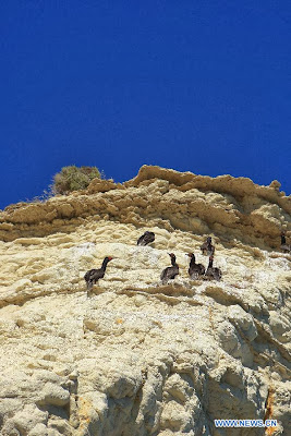 World Heritage Site - Peninsula Valdes, Argentina