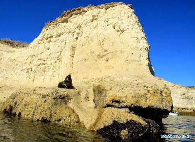 World Heritage Site - Peninsula Valdes, Argentina