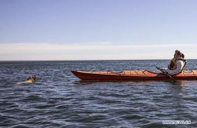 World Heritage Site - Peninsula Valdes, Argentina