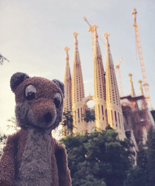 Amazing globetrotting of Mr Fox