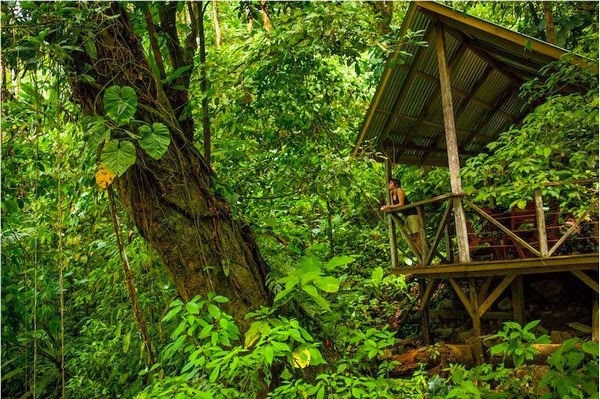 Finca Bellavista - The Real-Life Ewok Village in Costa Rica