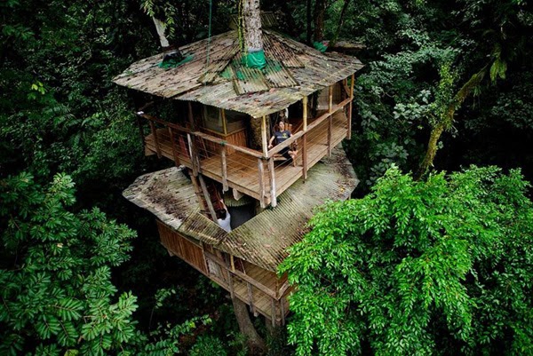 Finca Bellavista - The Real-Life Ewok Village in Costa Rica