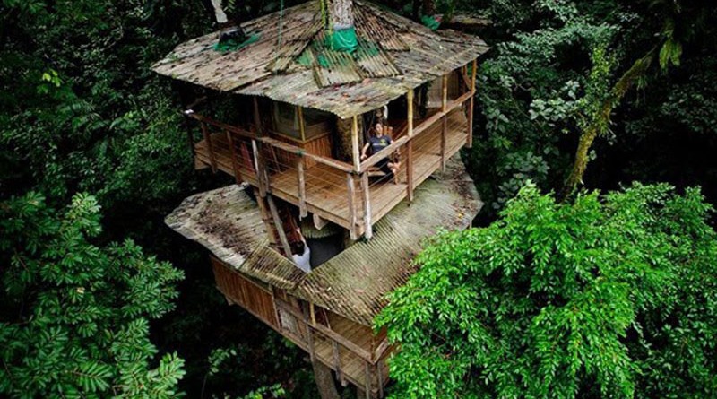 Finca Bellavista - The Real-Life Ewok Village in Costa Rica