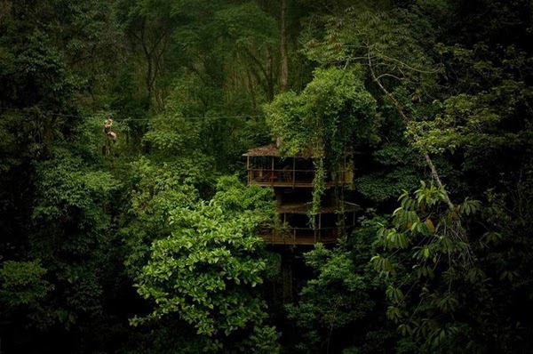 Finca Bellavista - The Real-Life Ewok Village in Costa Rica