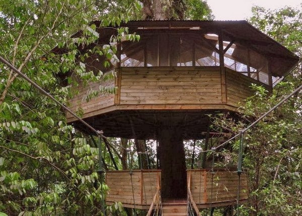 Finca Bellavista - The Real-Life Ewok Village in Costa Rica