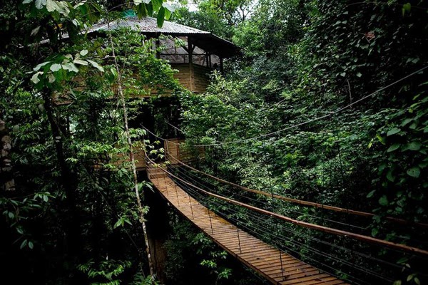 Finca Bellavista - The Real-Life Ewok Village in Costa Rica