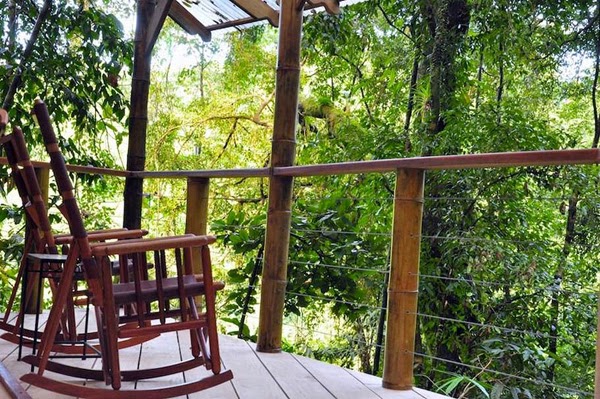 Finca Bellavista - The Real-Life Ewok Village in Costa Rica