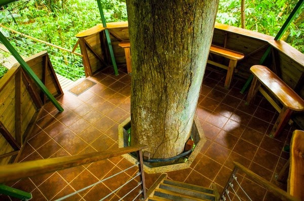 Finca Bellavista - The Real-Life Ewok Village in Costa Rica