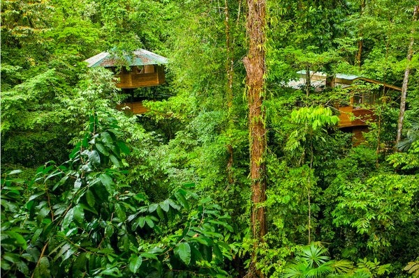 Finca Bellavista - The Real-Life Ewok Village in Costa Rica