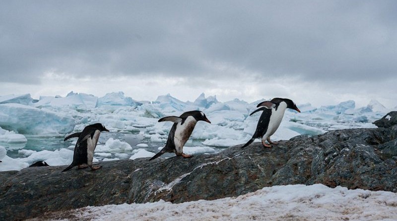 Stunning scenery of Antarctica