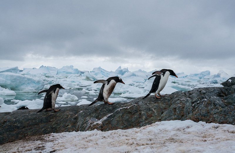 Stunning scenery of Antarctica