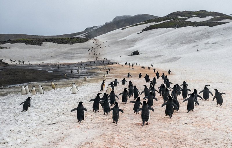 Stunning scenery of Antarctica