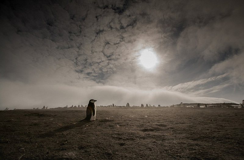 Stunning scenery of Antarctica